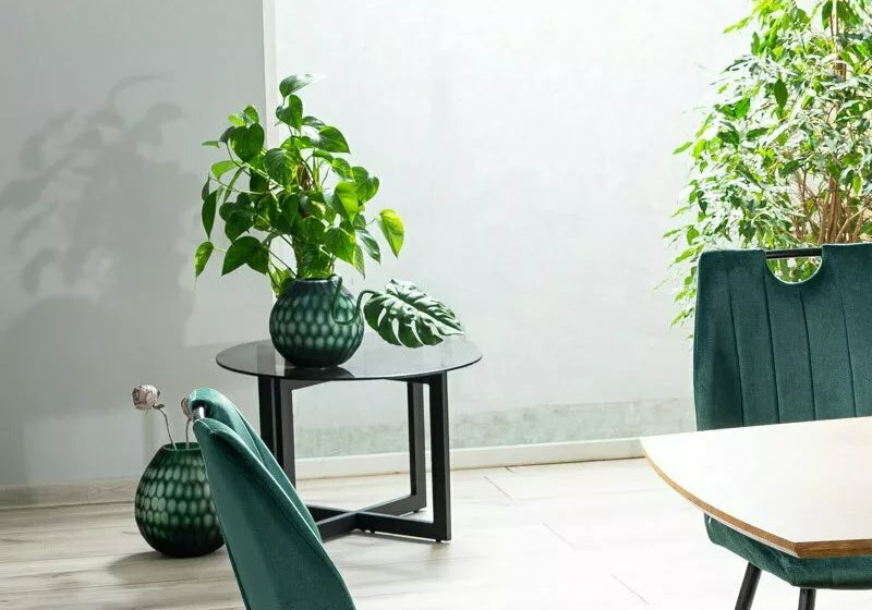 foto_add-301.webp