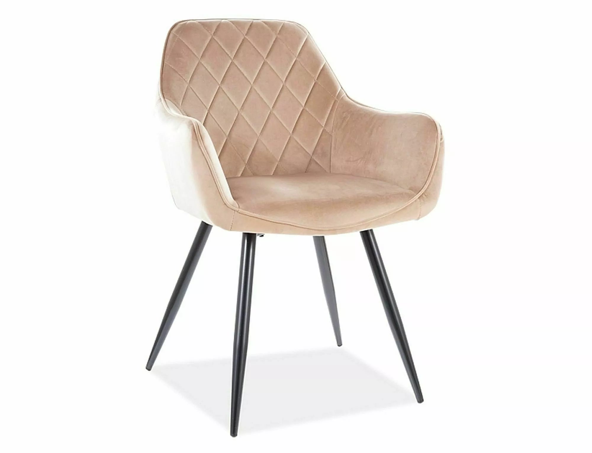 LINEA Velvet